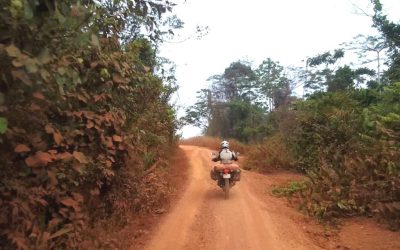 Menschenfresser in Liberia