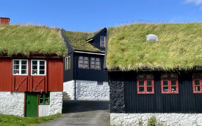 Puffins, Schafe und mehr Liebenswertes auf den Färöer