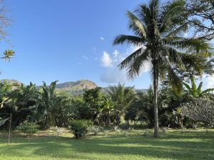 IMG_1538 (Kopie)