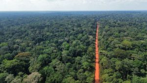 Tief ins Kongobecken Tief ins Kongobecken