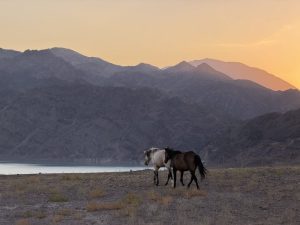 Sommerferien in Kasachstan