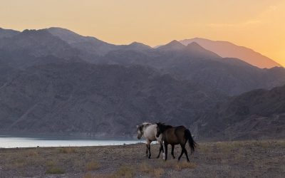 Sommerferien in Kasachstan